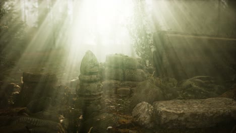 hoary ruins of ancient city in pine forest