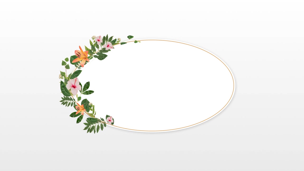 Frame with flower against white background 4k