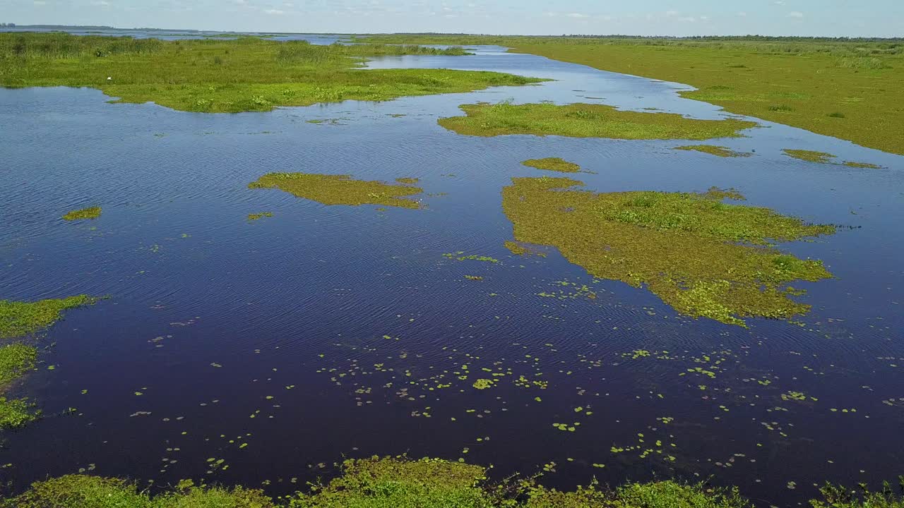 Zone umide del nord-est dell'Argentina riprese con drone