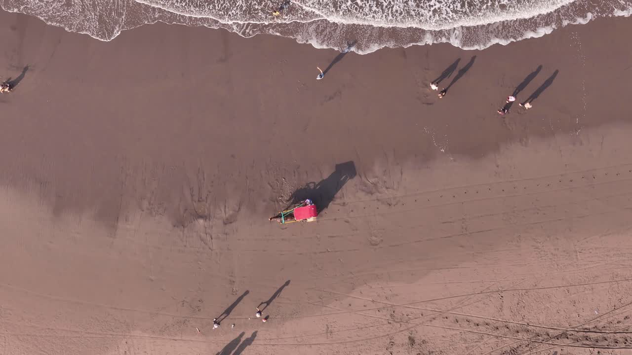 Top-down drone video showing a traditional horse-drawn cart moving parallel to the waves on a tropical beach. Aerial scenery of Parangtritis Beach, Yogyakarta, Indonesia