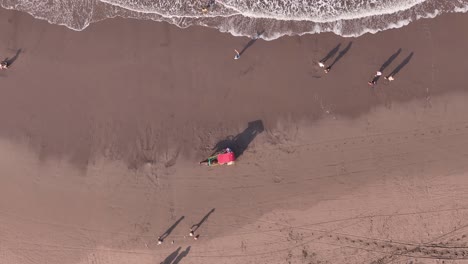 top-down drone video showing a traditional horse-drawn cart moving parallel to the waves on a tropical beach. aerial scenery of parangtritis beach, yogyakarta, indonesia