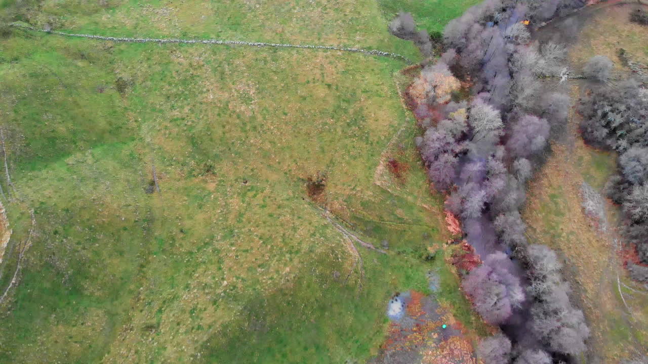 농촌 풍경, 높은 각도 조감도 프레임 채우기