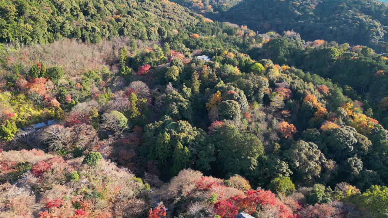 Drone rising in front of the Koyasu Pagoda, sunny autumn day in Kyoto, Japan