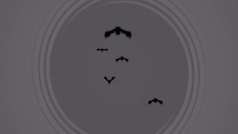 animation of halloween bats over moving grey background