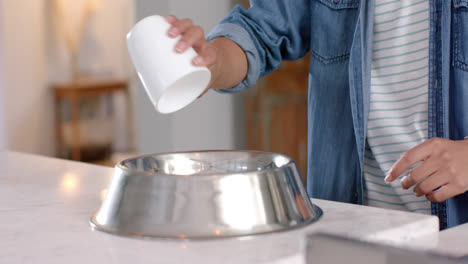 Midsection-of-biracial-woman-preparing-dog-food-at-home,-slow-motion