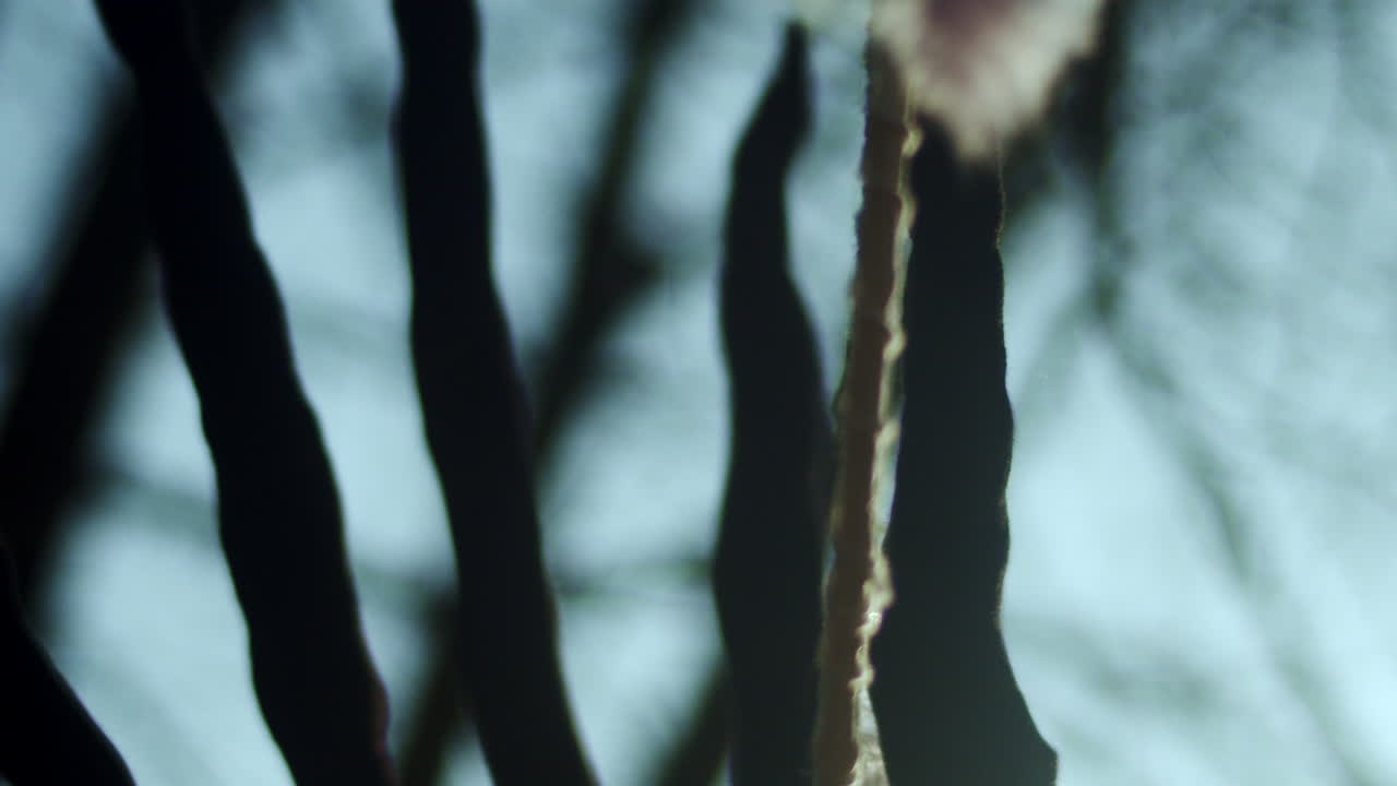 Demonic fingers reach for dreamcatcher spinning in breeze, macro