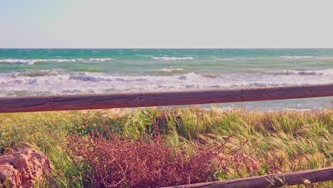 windy day on the coastline