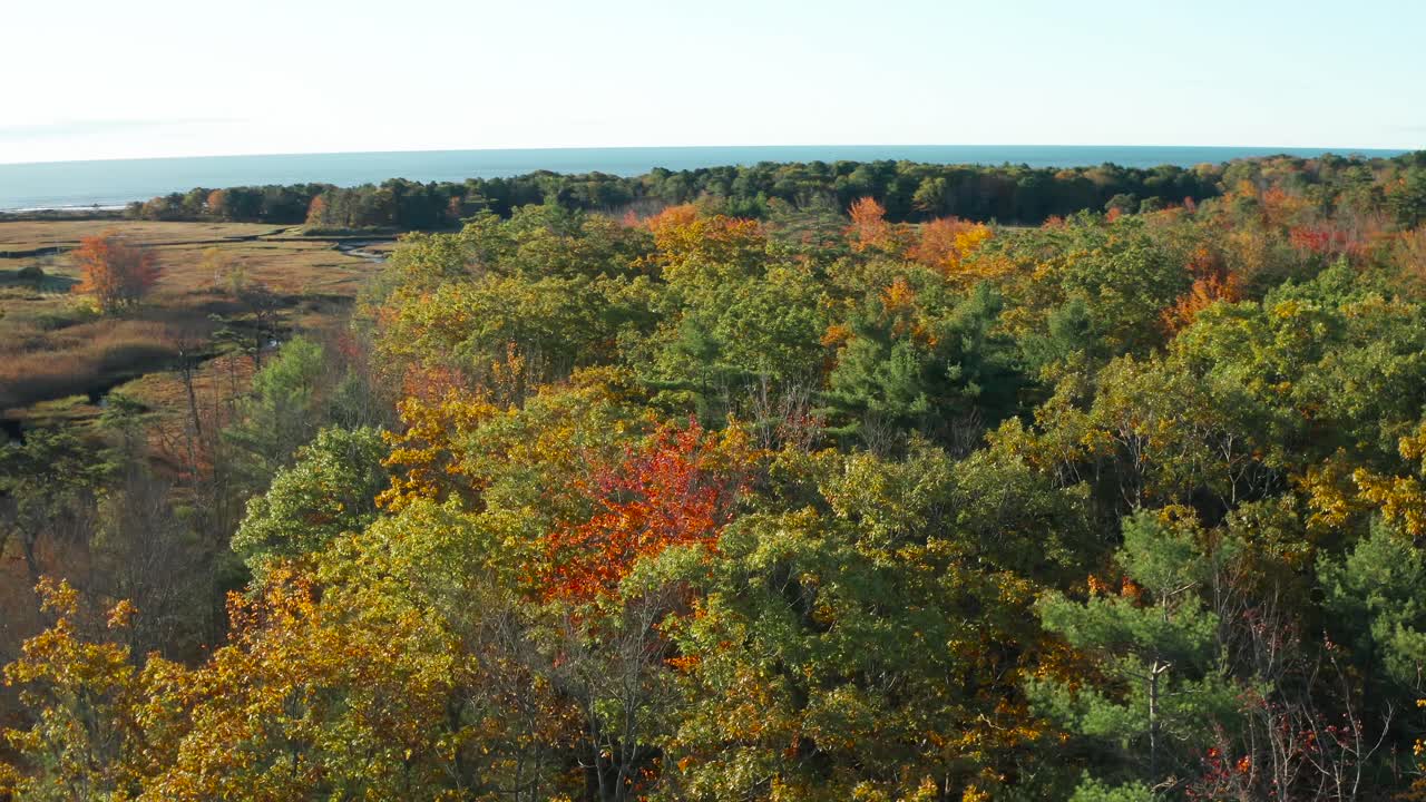Orbiting above the Fall foliage in Maine with the Ocean and wetlands in the distance