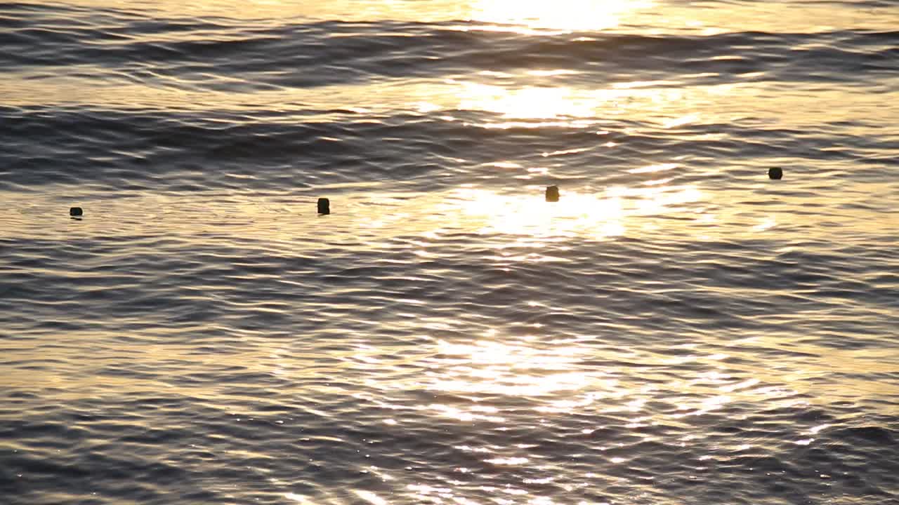 video conceptual de la luz dorada de la puesta de sol reflejada en las suaves olas del mar que muestra el concepto de curación en la naturaleza, el bienestar, la atención plena y el apoyo a la salud mental