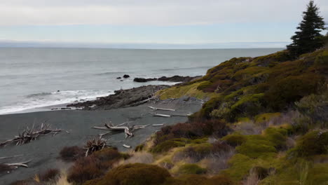 coastal scene with driftwood and rocky shore