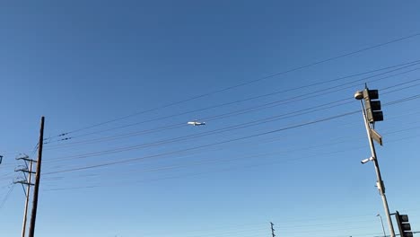 Street-level-wide-view-from-an-urban-environment-of-an-airplane-taking-off-from-LAX-panning-into-a-rack-focus-of-flowers