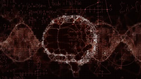 Animation-Des-Menschlichen-Gehirns-Und-Der-DNA-Helix-über-Mathematischen-Formeln-Und-Geometriewinkeln