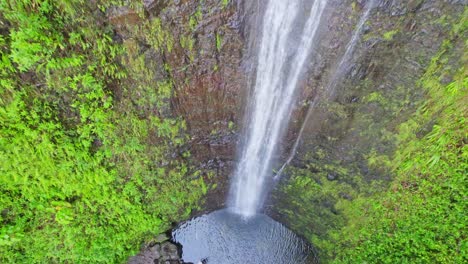 Imágenes-Aéreas-De-Las-Cataratas-Mao-a-En-La-Isla-De-Oahu,-Hawaii,-Las-Imágenes-Descienden-Sobre-Las-Cataratas-Hacia-La-Piscina-Con-Selva-Tropical-Que-Rodea-Las-Cataratas-De-La-Isla