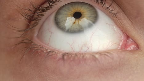 primer plano de un ojo humano