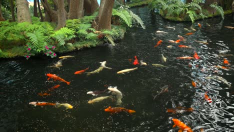 las imágenes fueron filmadas en madeira, portugal, en el jardín tropical de monte palace.