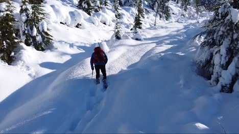 Mann-Schneeschuhwandern-Bergauf-Auf-Mount-Porter,-Vancouver-Island,-Kanada