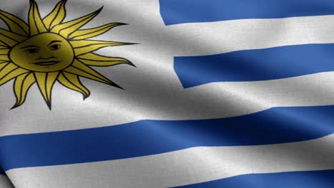 closeup waving loop 4k national flag of uruguay