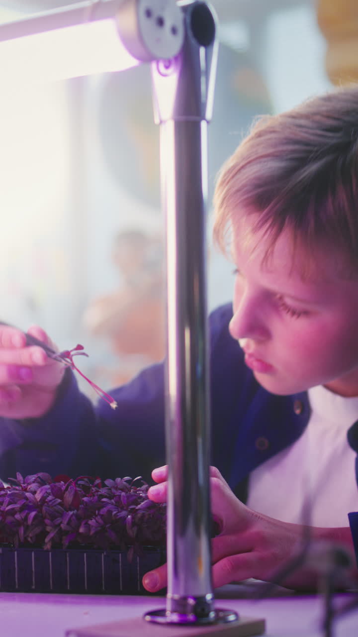 Child learning about plants in a science experiment
