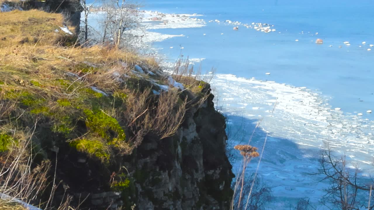Frozen blue Baltic sea water during that has white ice and snow on it during a sunny day viewed from Tabasalu high altitude Cliff bank coastline during winter that has tall brown grass and moss on it.