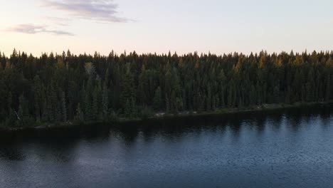 beautiful cobb lake surrounded by dense and lush forest at sunset in british columbia, canada