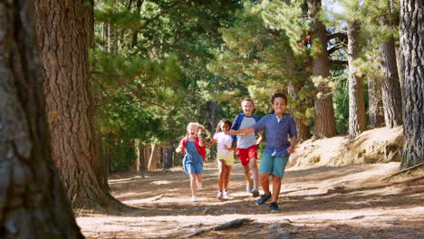 group of children running along trail on hiking adventure