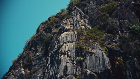 Vegetación-Que-Crece-En-Un-Acantilado-De-Piedra-Caliza-En-Un-Parque-Nacional-En-Tailandia