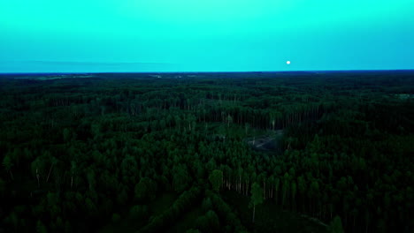 Aerial-Drone-Shot-Above-the-Canopy-of-a-Dark,-Lush-Green-Forest-with-the-Moon-Rising-on-the-Horizon