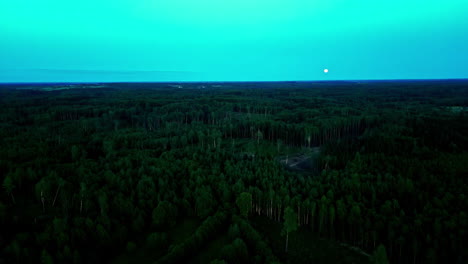 drone aéreo disparado por encima del dosel de un bosque verde oscuro y exuberante con la luna levantándose en el horizonte