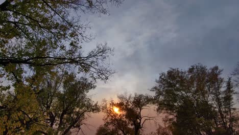 Un-Dron-Flota-Lentamente-Mirando-Hacia-Arriba-Bajo-El-Dosel-De-Los-árboles-En-Una-Puesta-De-Sol-De-Octubre-Muy-Inusual