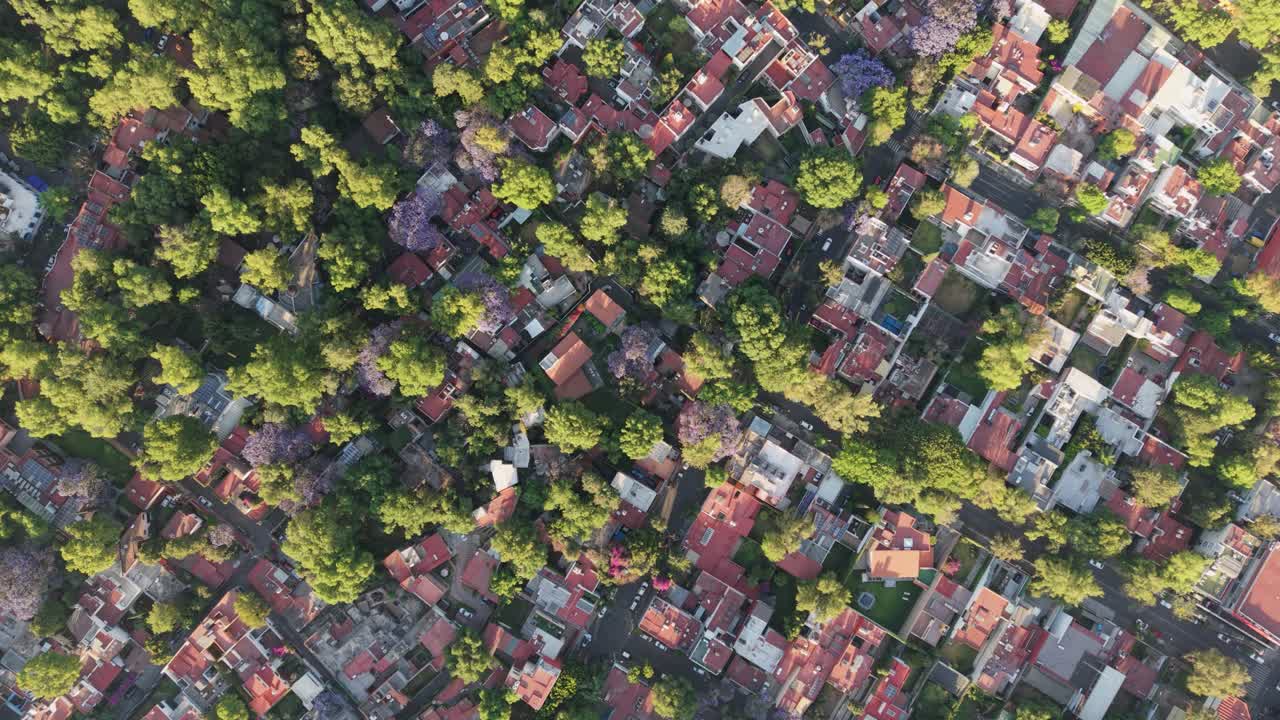 Bird's-eye aerial view of Coyoacán's residential district, CDMX, with abundant trees in spring