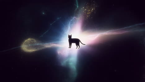 cosmic cat silhouette in galaxy