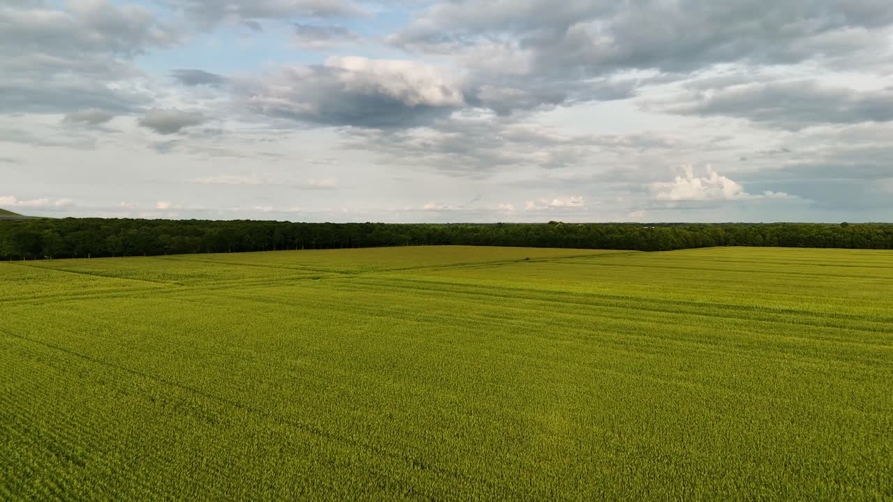 Aerial View of Lush Green Agricultural Fields and Forest Under a Cloudy Sky
