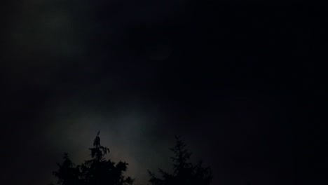 full moon illuminating silhouetted trees in a stormy night sky