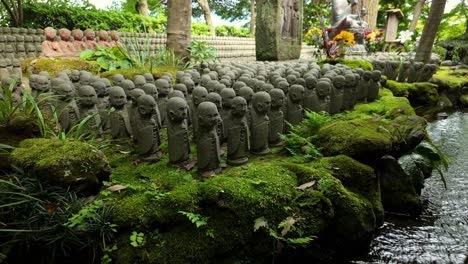 static shot of hundreds of small stone jizo statues lined along a moss-covered pond in a peaceful temple garden at hasedera in kamakura, japan