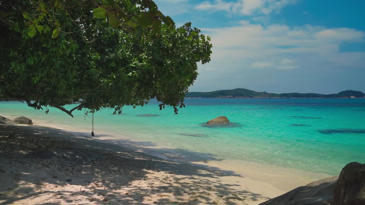Beautiful Cinemagraph / seamless video loop of a rope swing at a remote ...
