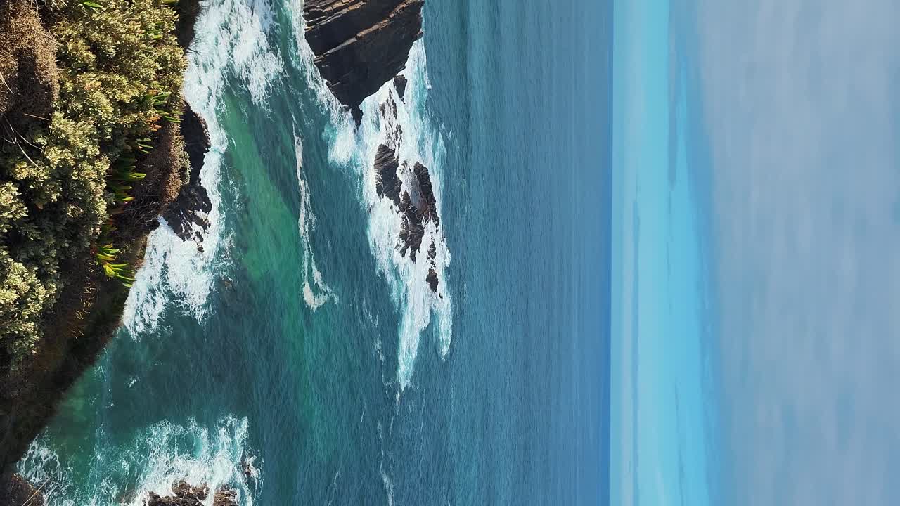 Zambujeira do Mar sulla costa con onde oceaniche, scogliere e dune di sabbia ricoperte da vegetazione verde e foglie rosse di fico degli Ottentotti, in una giornata di sole con cielo azzurro limpido