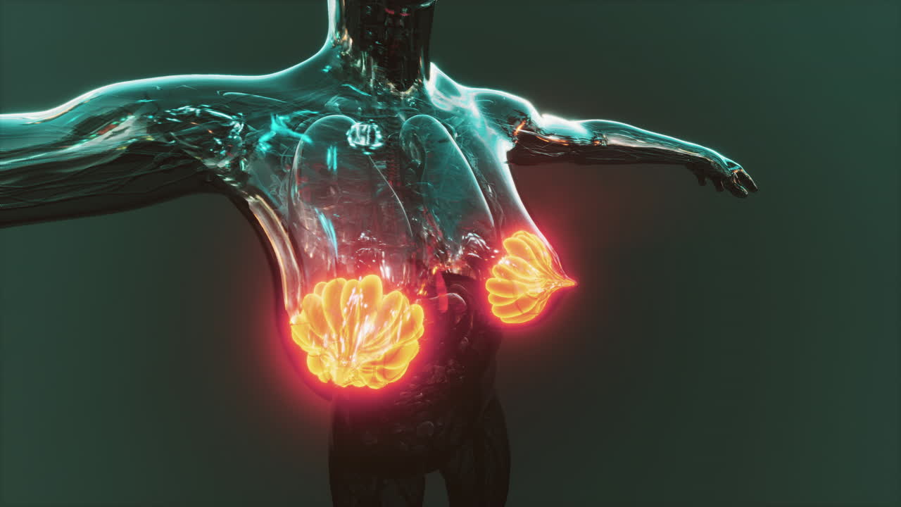 빛나는 유방선과 함께 인간 몸의 과학 해부학