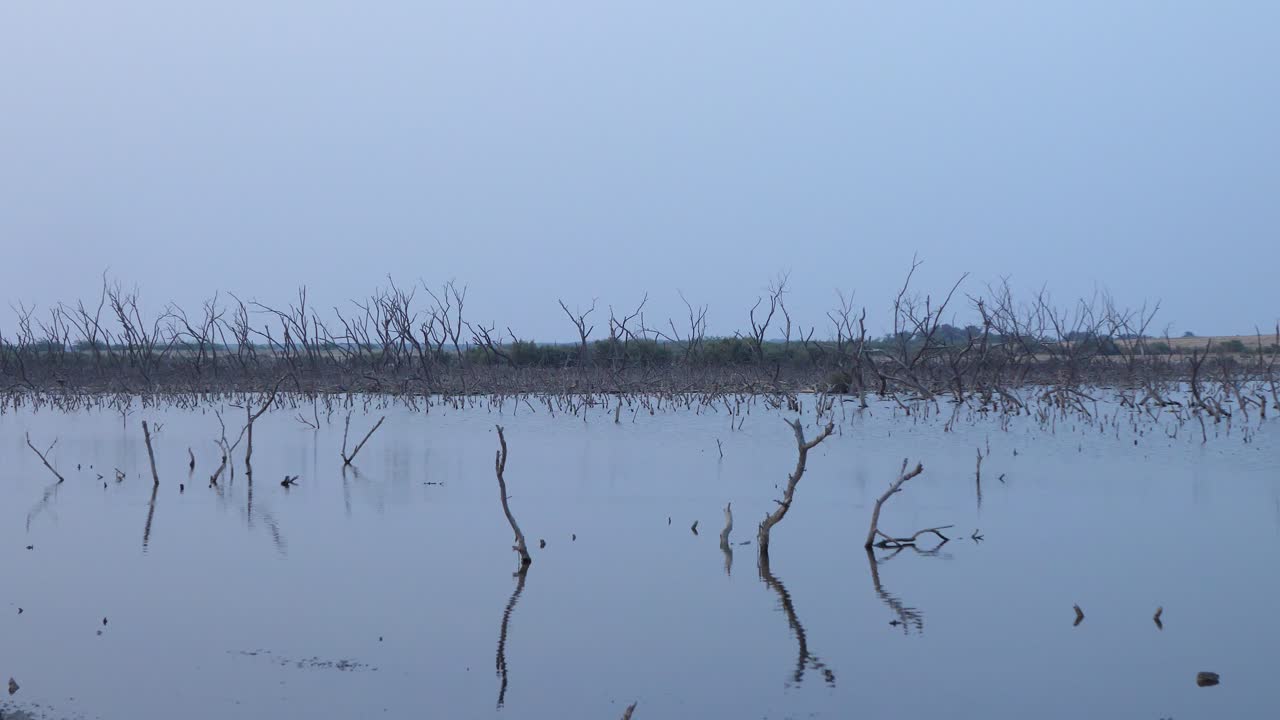 흐린 날 카라치의 맹그로브 숲 파괴