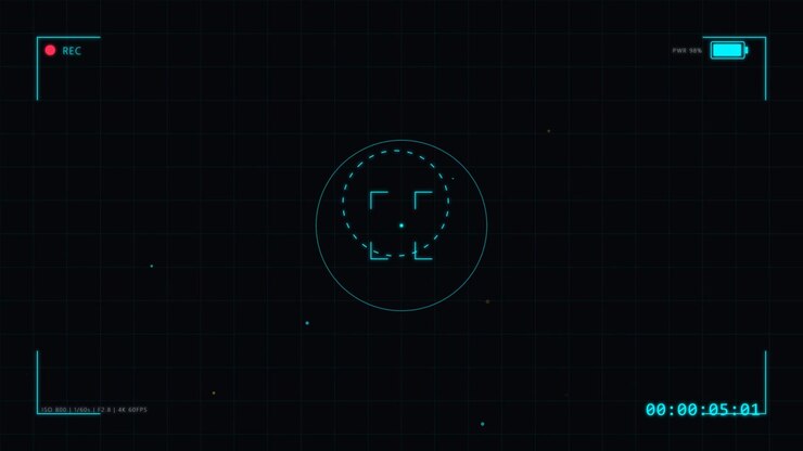Digital Camera Viewfinder Interface with Pulsing Focus Reticle