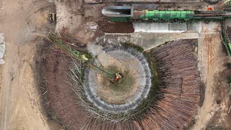 Top-down-aerial-of-pine-tree-trunks