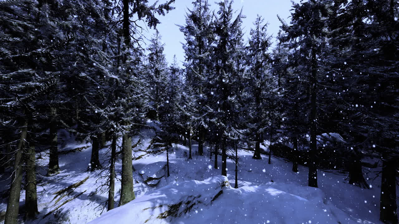 Winter landscape with snow falling among tall evergreen trees during dusk