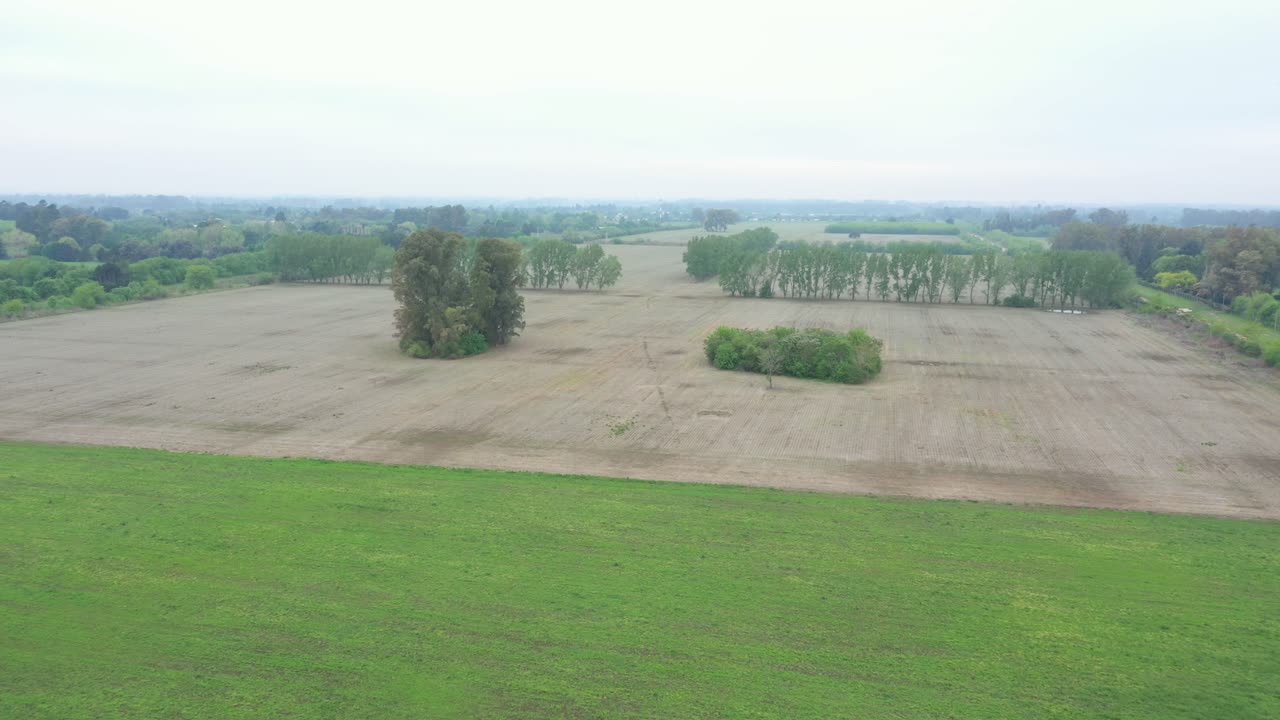 Tarım arazisinin, soya tarlalarının ve siyah soya tohumları ekmek ile buğday dikmek için hazırlanmış toprağın havadan görünümü, drone kamerası ileri doğru hareket ediyor