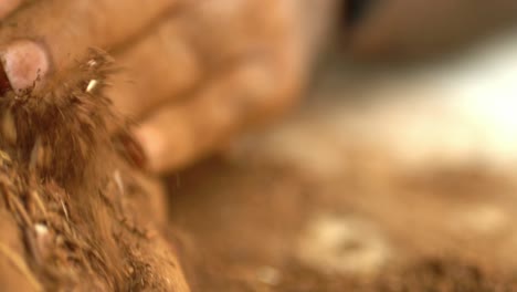 macro shot of hands during the production of madder powder, dye and medicine in pakistan and india