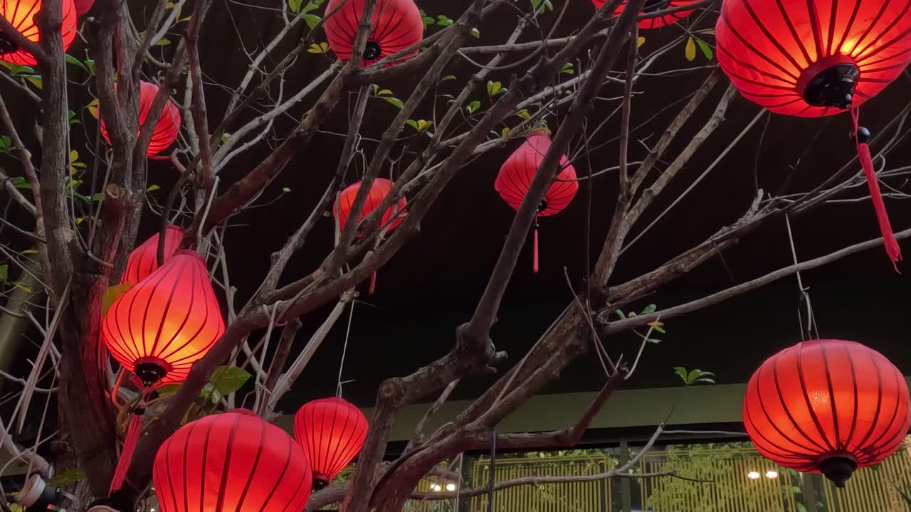 Red lanterns hang from bare tree branches, creating a vibrant contrast against the dark background.