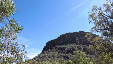 time-lapse of a mountain landscape with trees