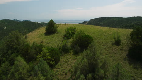 wooded hilltop above lush green canyon valley in vashlovani, georgia