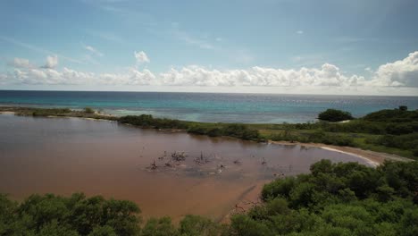 Nationalpark-Los-Roques-Mit-Klarem-Türkisfarbenem-Wasser,-Sandstränden-Und-üppigem-Grün,-Luftaufnahme