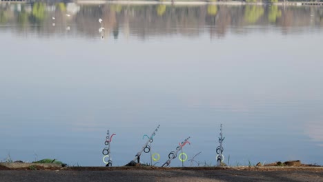 fishing rods on park lake at sunny day