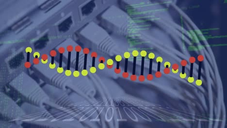 animación del procesamiento de datos y la cadena de adn sobre el servidor