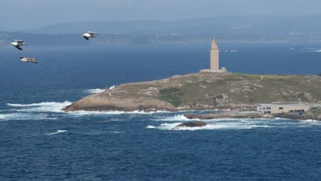 famous hercules roman lighthouse tower in galicia while seagulls fly in slow motion